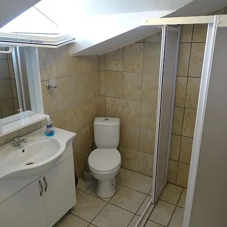 마비코스크 달리안